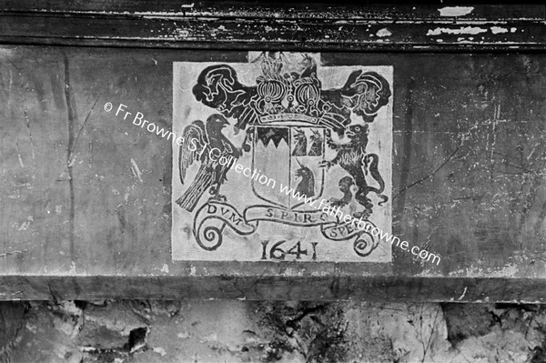 THE CASTLE CREST ON FIREPLACE OF BASEMENT ROOM